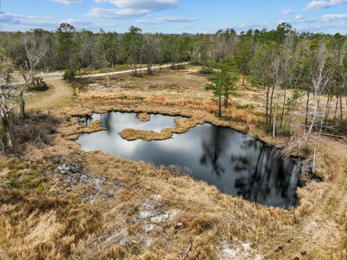 3220 Albert Hendry Road Greenville, FL 32331 - Photo 8 of 22