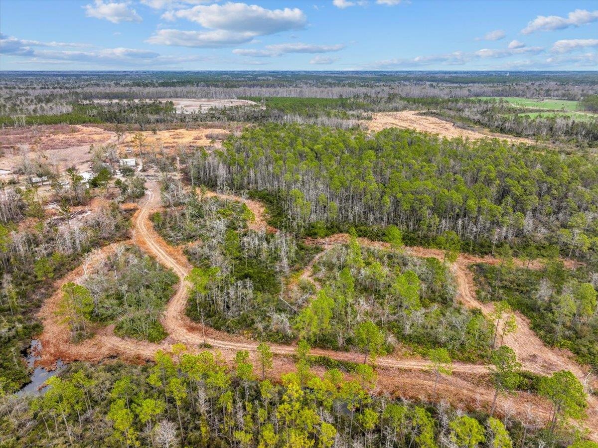 3220 Albert Hendry Road Greenville, FL 32331 - Photo 9 of 22