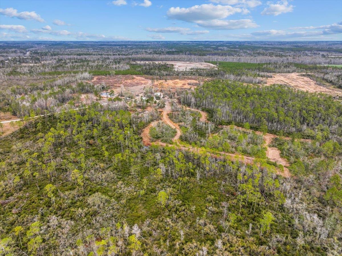 3220 Albert Hendry Road Greenville, FL 32331 - Photo 10 of 22