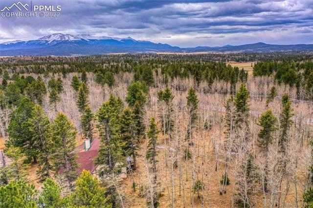 2096 Cedar Mountain Road Divide, CO 80814 - Photo 8 of 42 Gallery Image 8