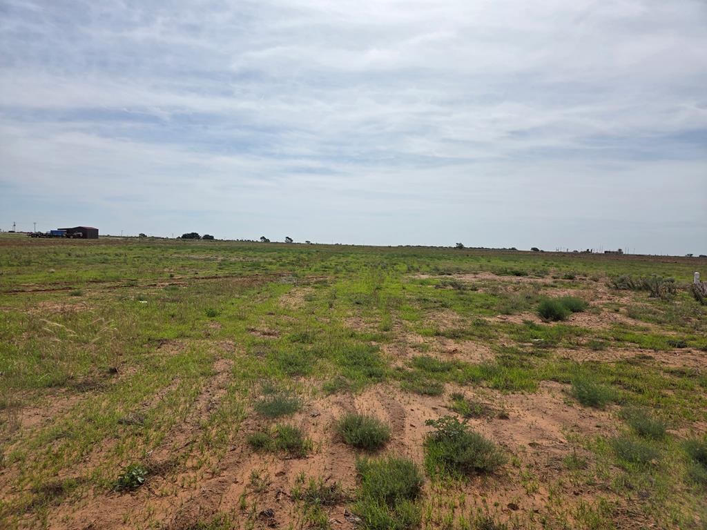 2018 Reinland Road Brownfield, TX 79316 - Photo 7 of 7 Gallery Image 7