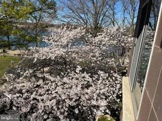 $1,575,000 | 550 N Street Southwest, Unit S201, Washington, DC 20024