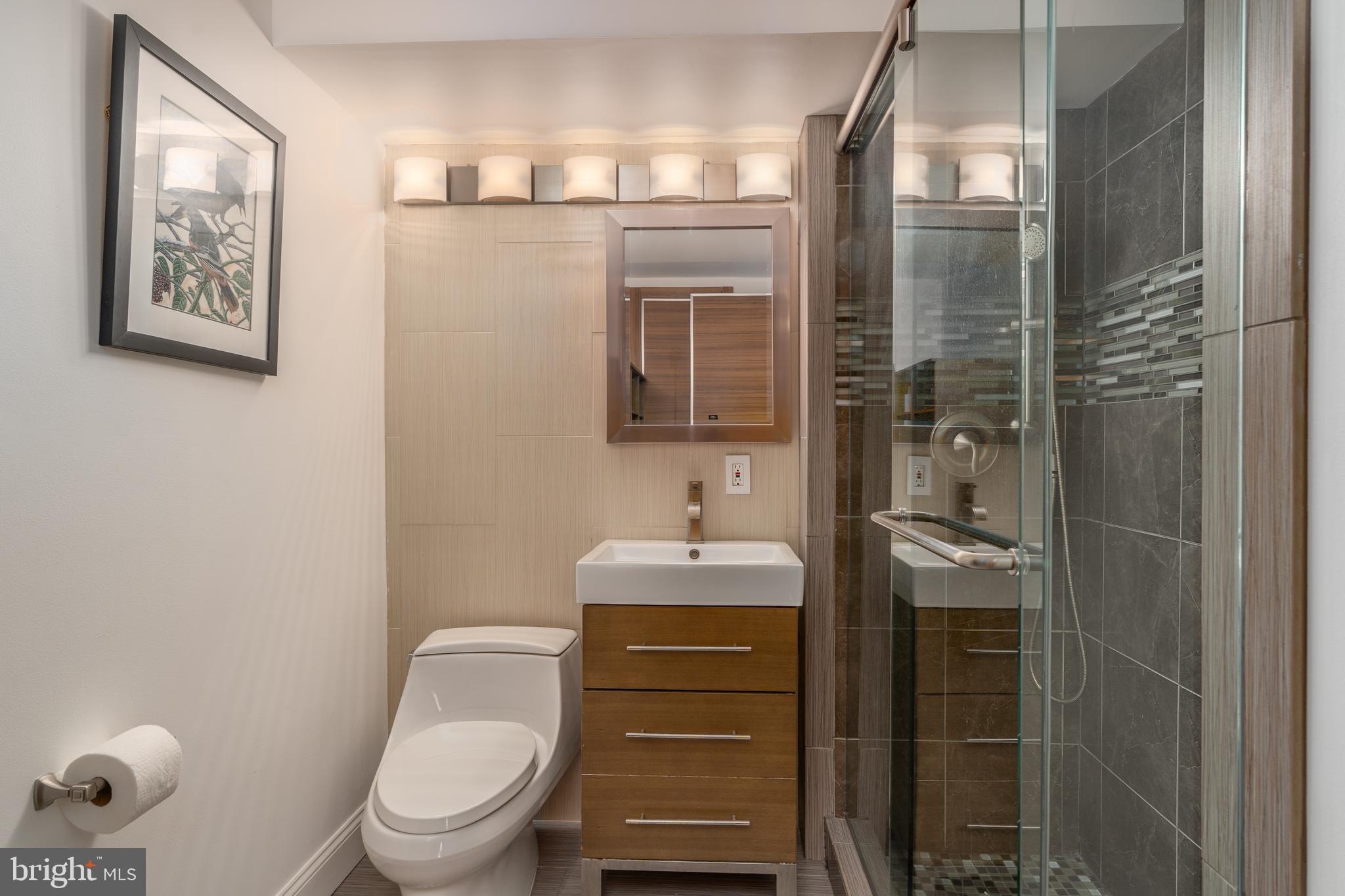 550 N Street Southwest, Unit S201 Washington, DC 20024 - Photo 35 of 63 a bathroom with a toilet a sink and mirror
