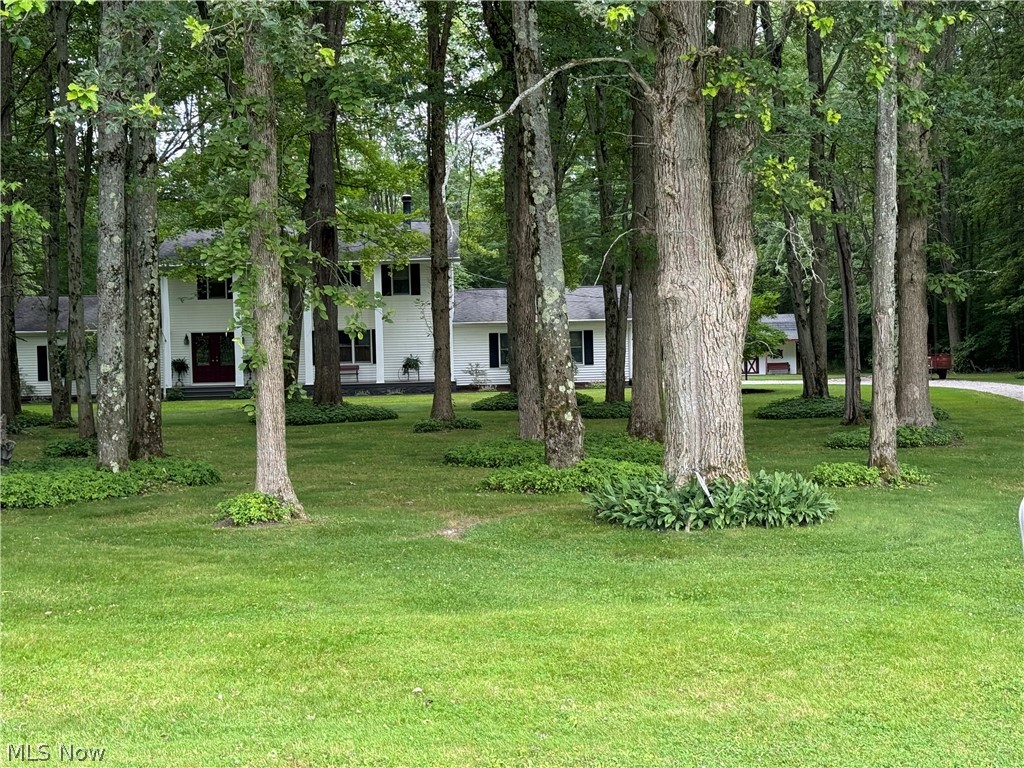 942 Webster Road Jefferson, OH 44047 - Photo 43 of 50 View of yard