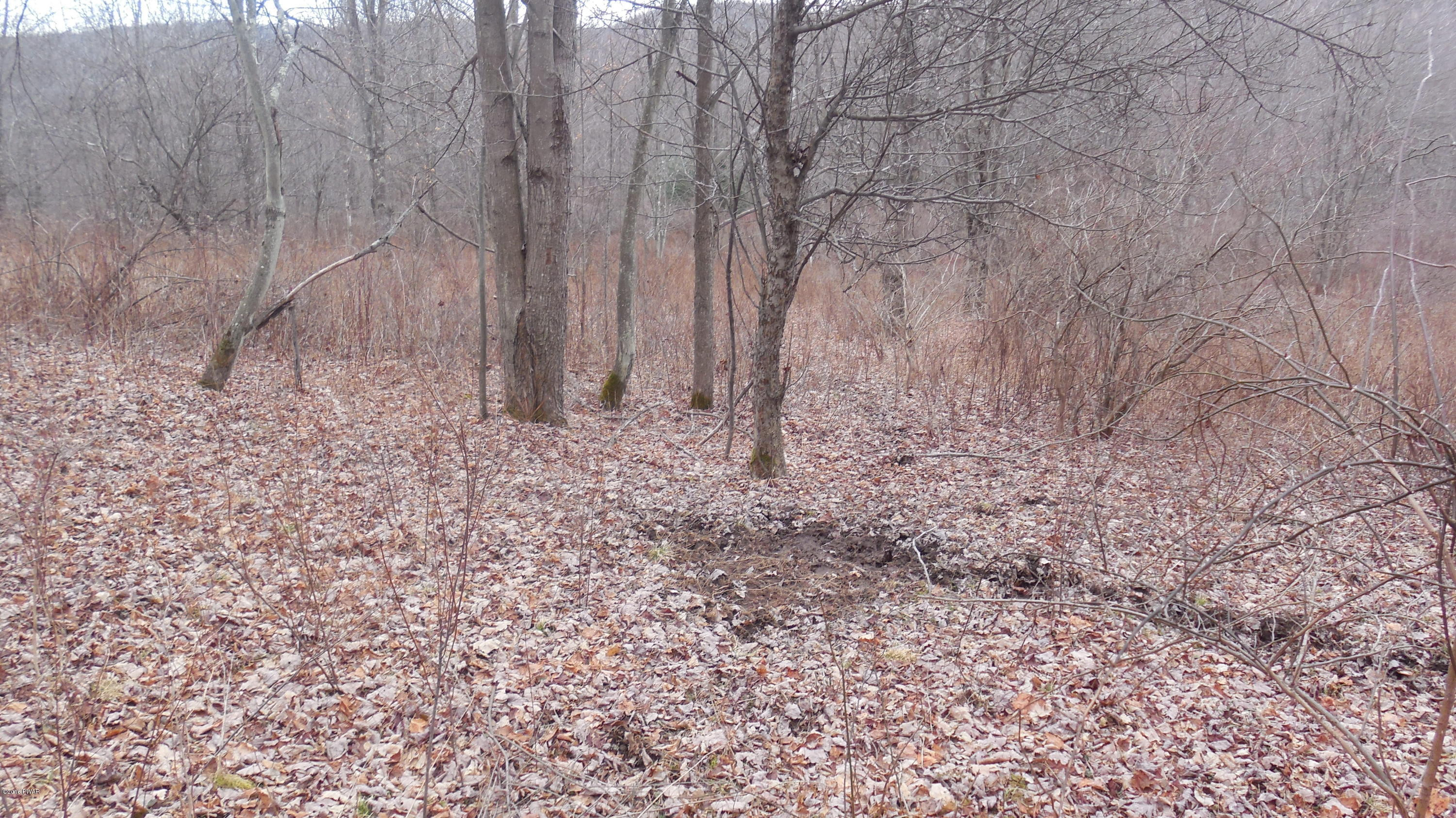 352 Hellmers Hill Road Equinunk, PA 18417 - Photo 25 of 34