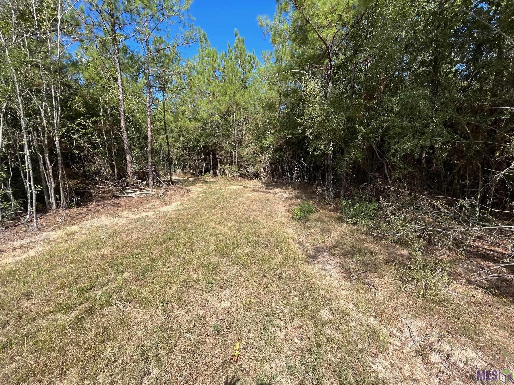 1849 Genola Road Clinton, LA 70722 - Photo 4 of 8 Gallery Image 4