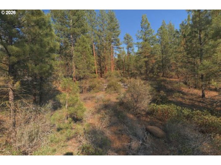 Kildeer Drive Bonanza, OR 97623 - Photo 1 of 3