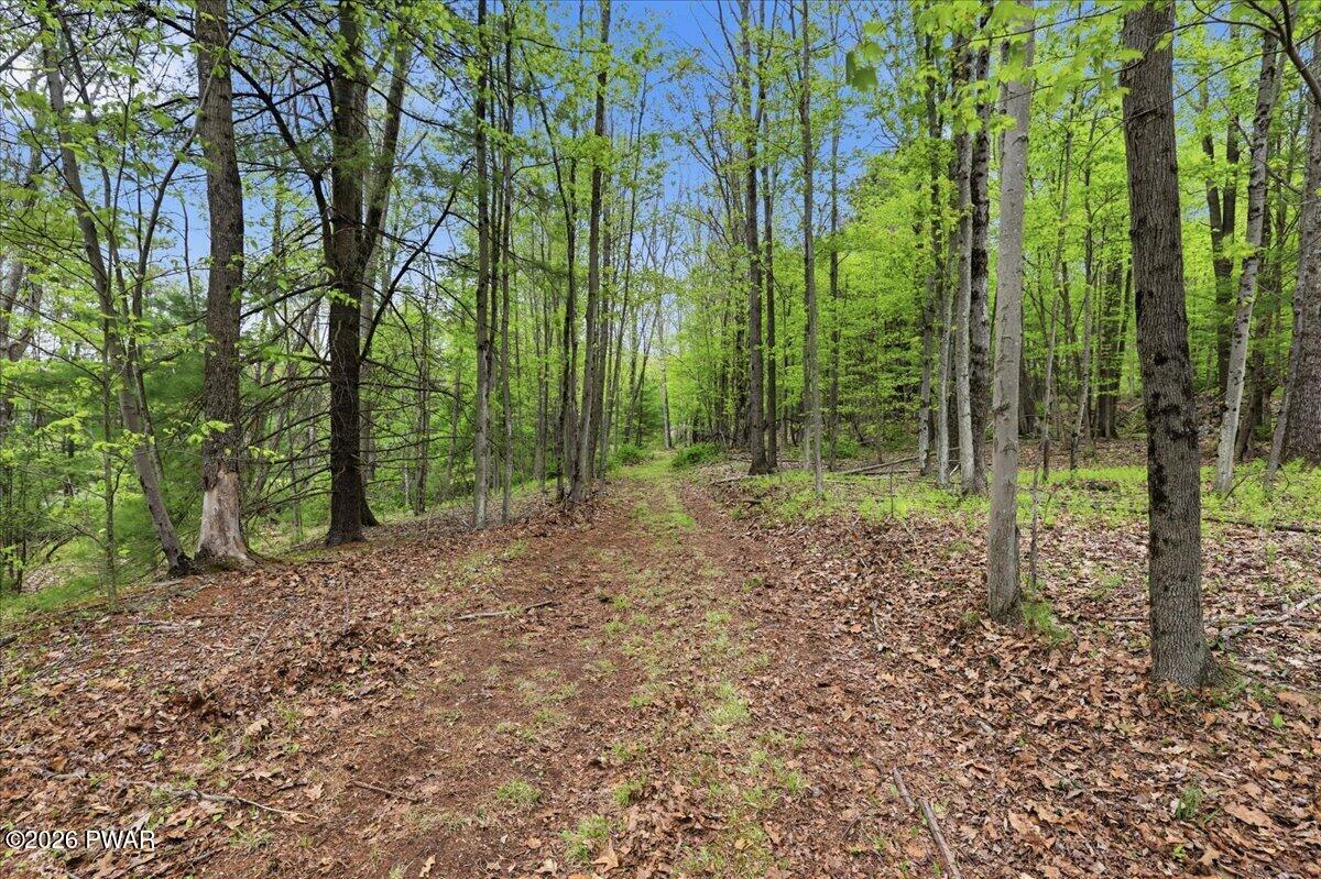 103 Forever Green Road Lakeville, PA 18438 - Photo 51 of 179