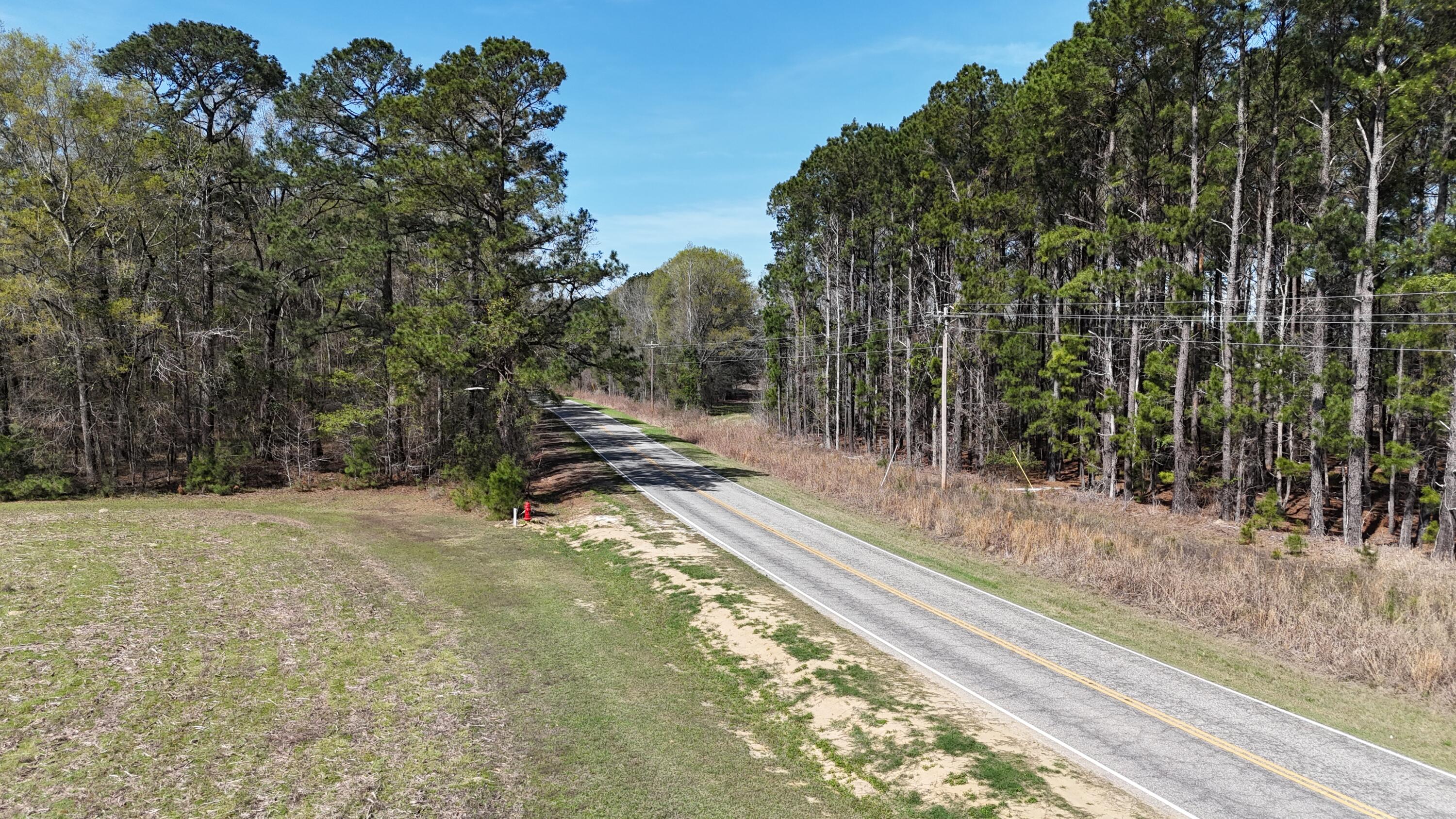 1995 Sam Nexsen Road Summerton, SC 29148 - Photo 48 of 110