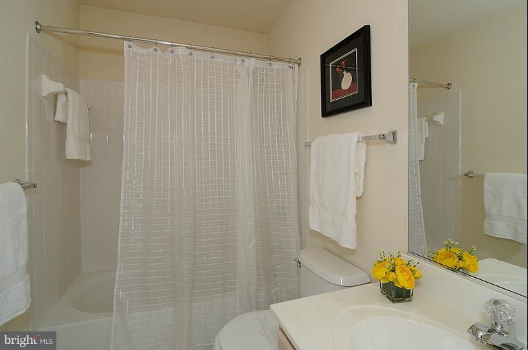 1610 Chapman Road Crofton, MD 21054 - Photo 17 of 30 Bath (Master)