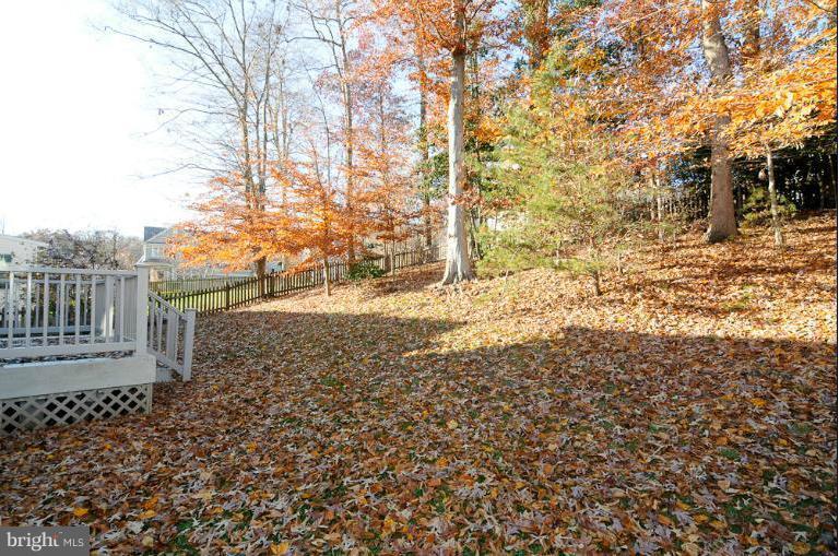 1610 Chapman Road Crofton, MD 21054 - Photo 20 of 30 Exterior (General)