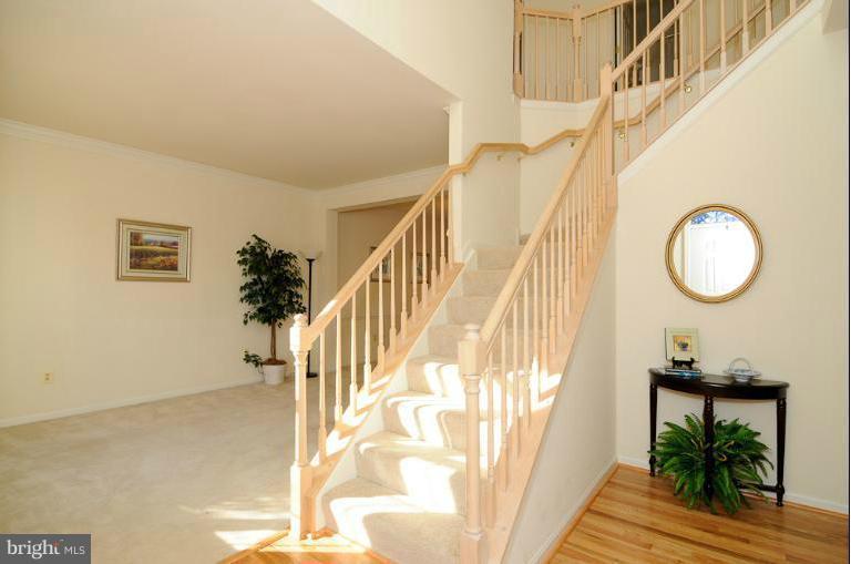 1610 Chapman Road Crofton, MD 21054 - Photo 26 of 30 Interior (General)