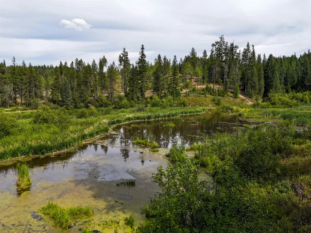 $3,750,000 | 52-xx Wagner Road, Springdale, WA 99173