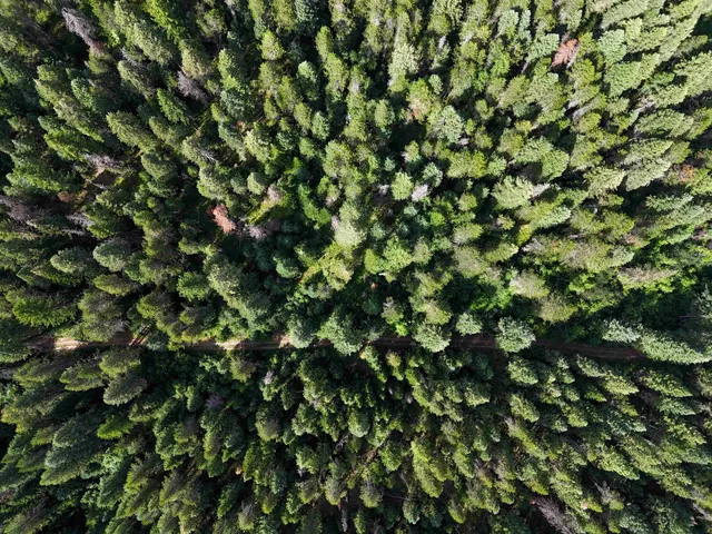 $3,750,000 | 52-xx Wagner Road, Springdale, WA 99173