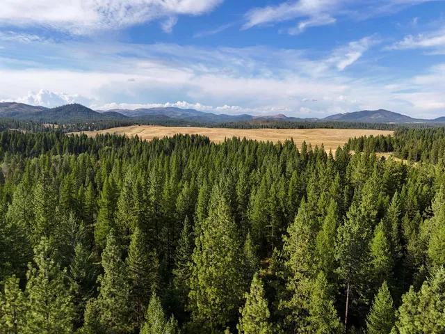 $3,750,000 | 52-xx Wagner Road, Springdale, WA 99173