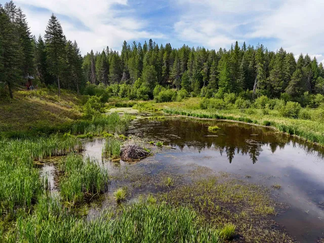 $3,750,000 | 52-xx Wagner Road, Springdale, WA 99173