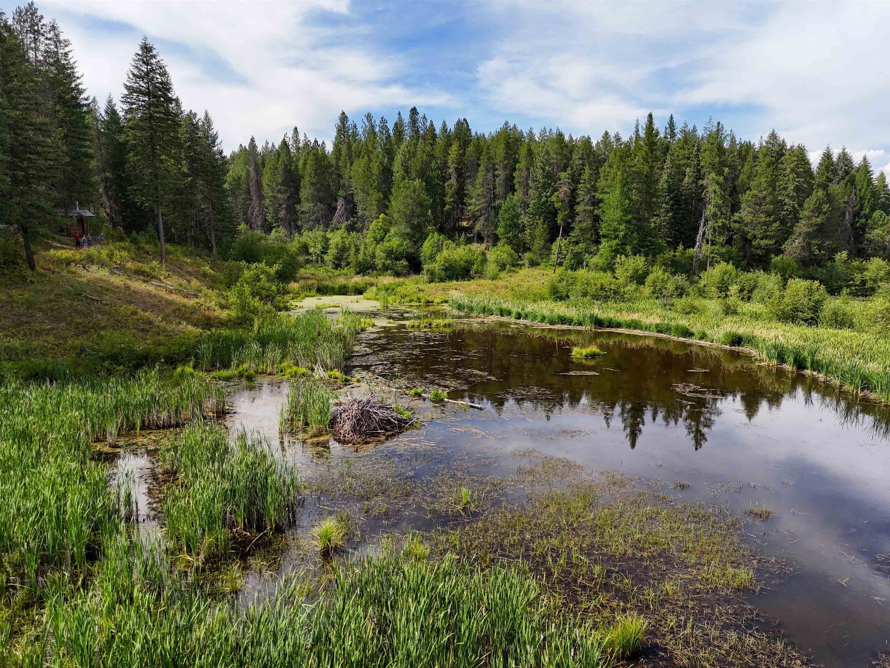 52-xx Wagner Road Springdale, WA 99173 - Photo 2 of 50