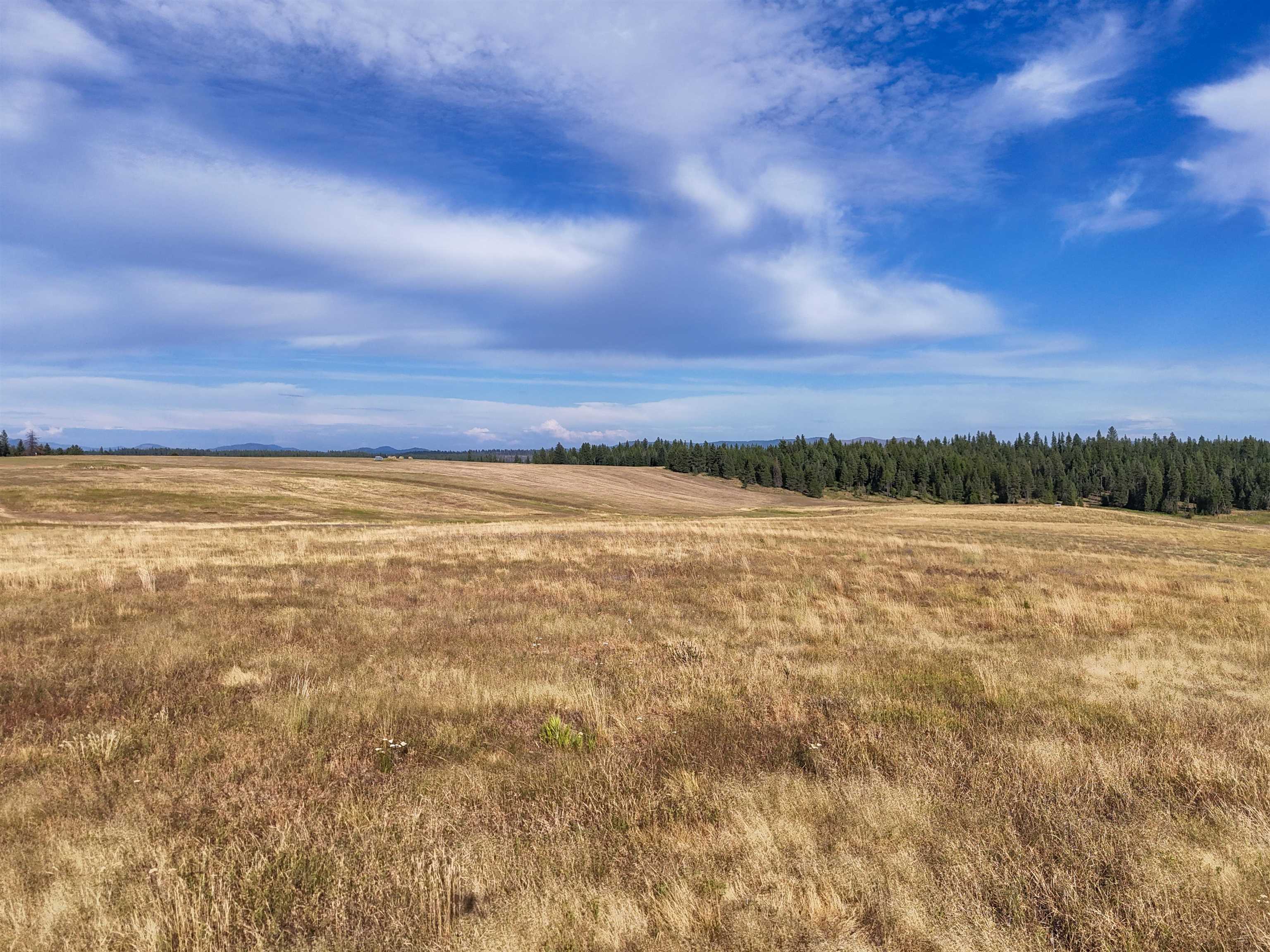 52-xx Wagner Road Springdale, WA 99173 - Photo 22 of 50