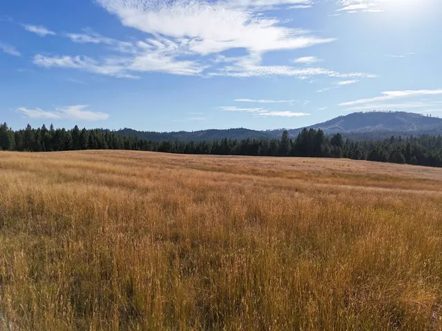 $3,750,000 | 52-xx Wagner Road, Springdale, WA 99173