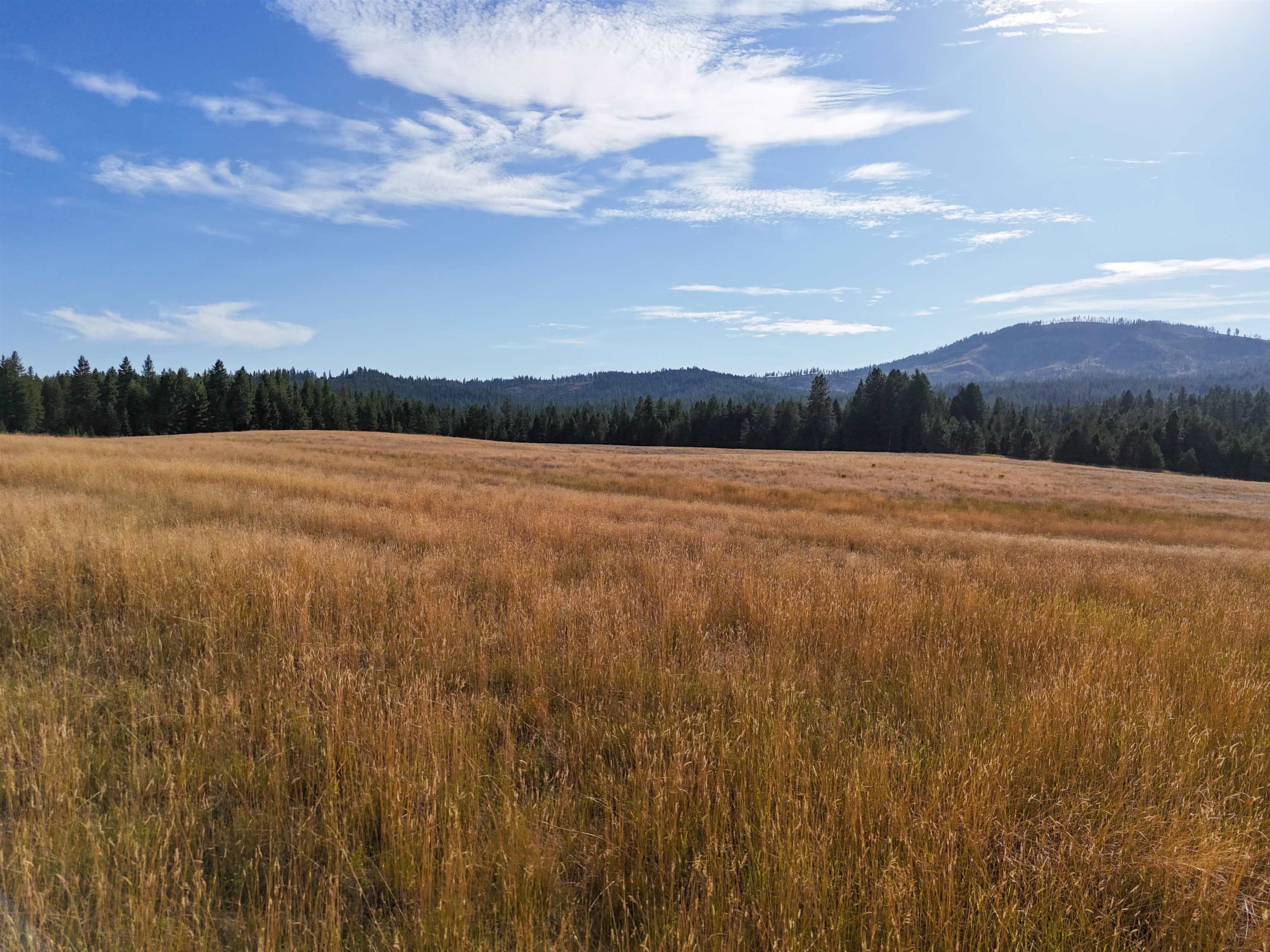 52-xx Wagner Road Springdale, WA 99173 - Photo 24 of 50