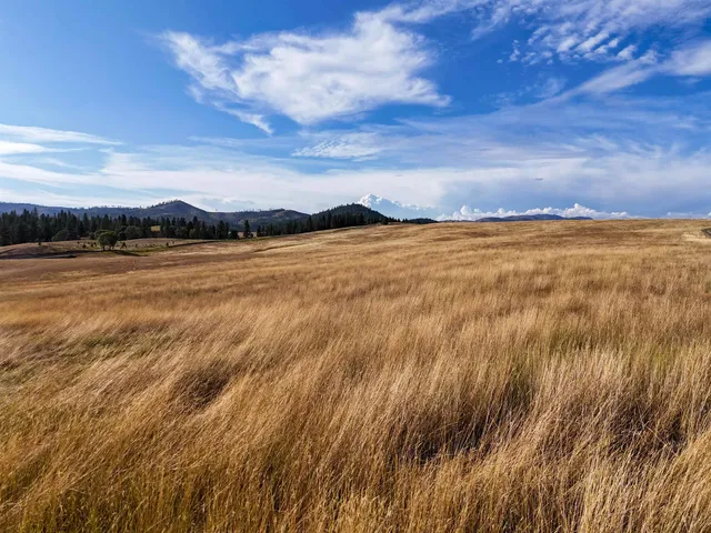 $3,750,000 | 52-xx Wagner Road, Springdale, WA 99173