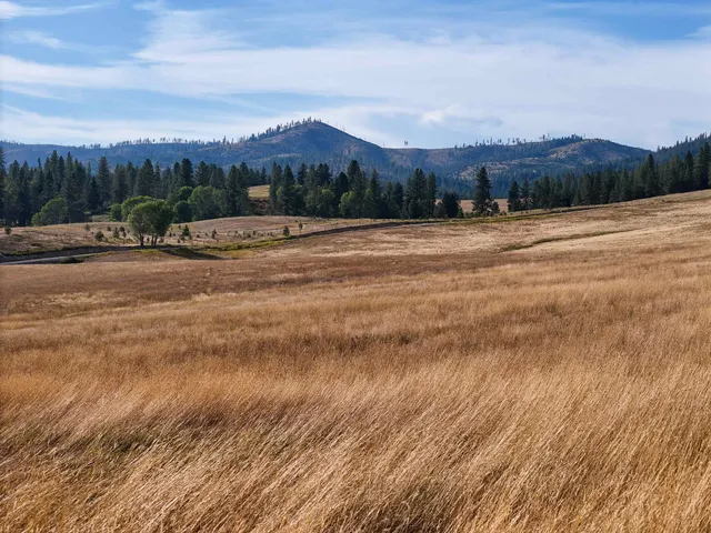 $3,750,000 | 52-xx Wagner Road, Springdale, WA 99173