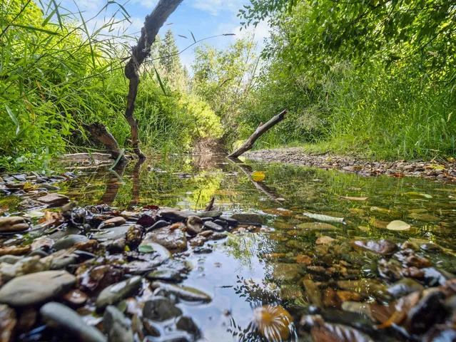 $3,750,000 | 52-xx Wagner Road, Springdale, WA 99173