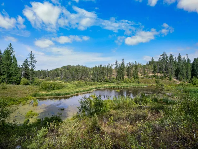$3,750,000 | 52-xx Wagner Road, Springdale, WA 99173