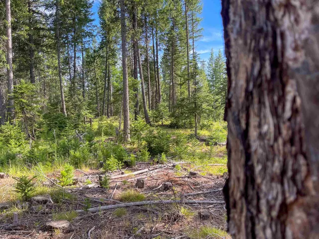 $3,750,000 | 52-xx Wagner Road, Springdale, WA 99173