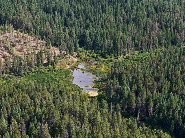 $3,750,000 | 52-xx Wagner Road, Springdale, WA 99173