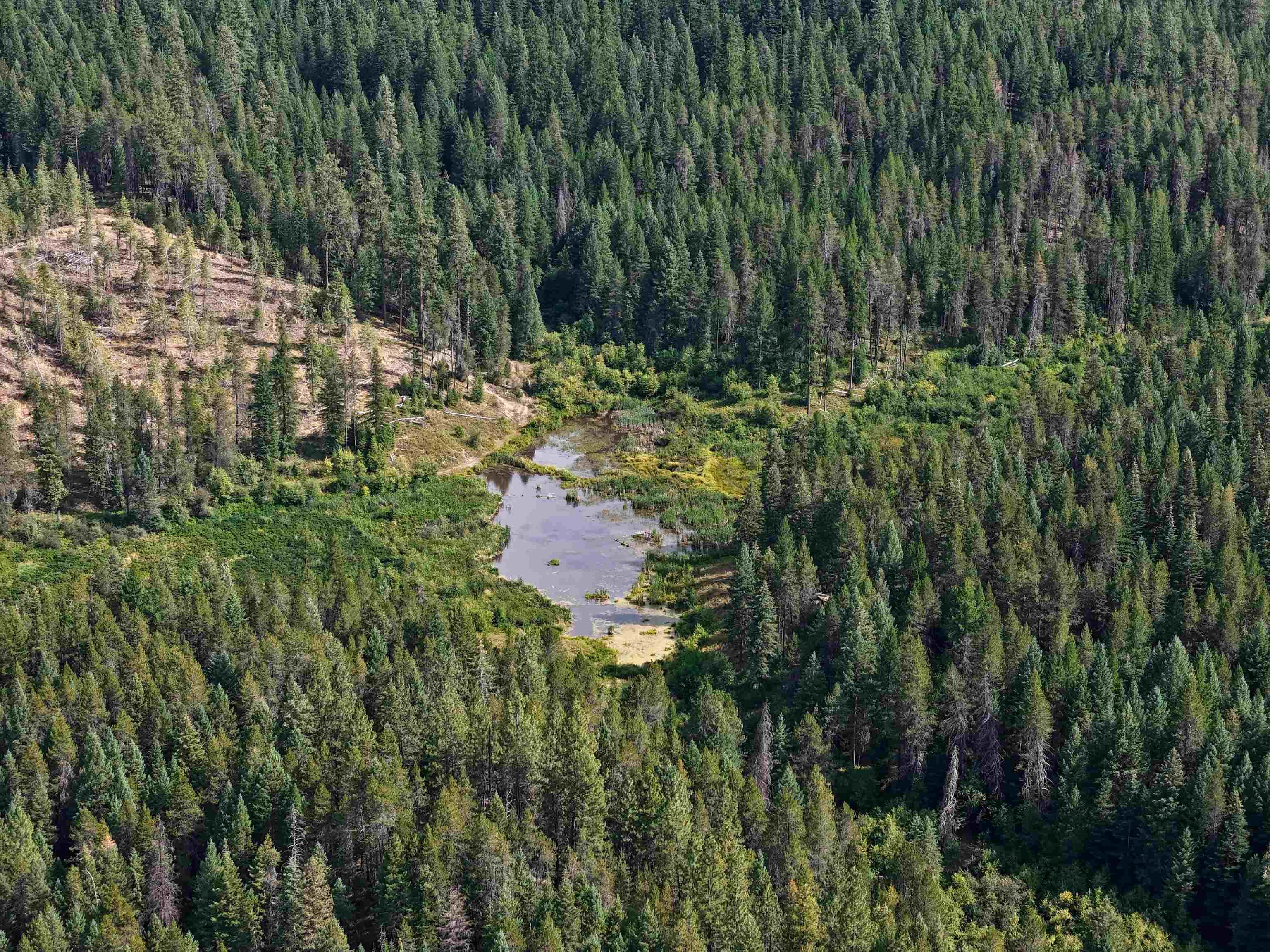 52-xx Wagner Road Springdale, WA 99173 - Photo 4 of 50