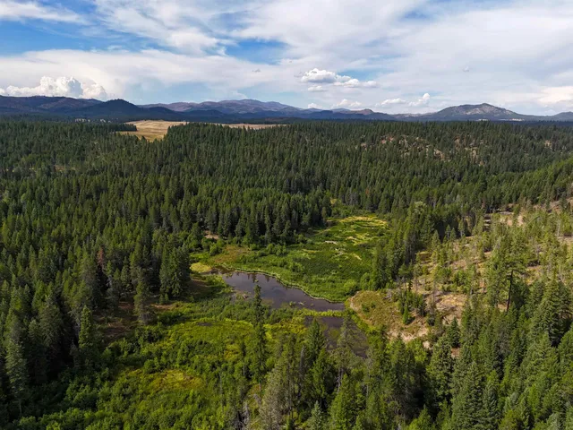 $3,750,000 | 52-xx Wagner Road, Springdale, WA 99173