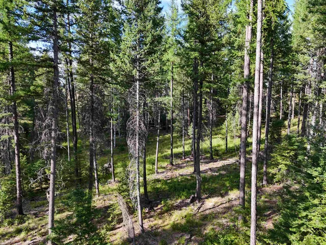 $3,750,000 | 52-xx Wagner Road, Springdale, WA 99173