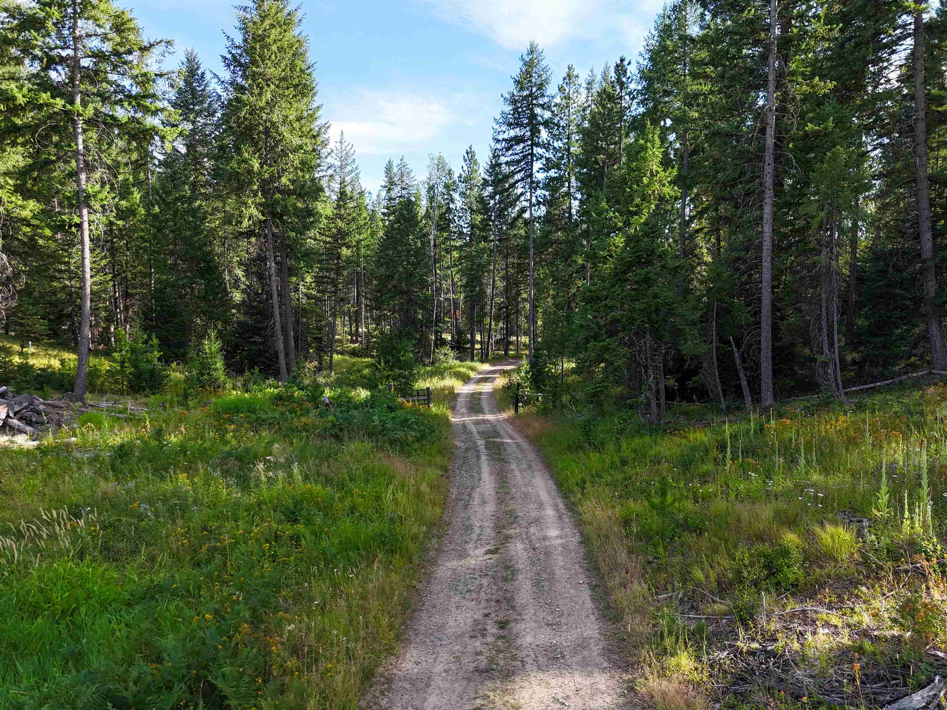 52-xx Wagner Road Springdale, WA 99173 - Photo 10 of 50