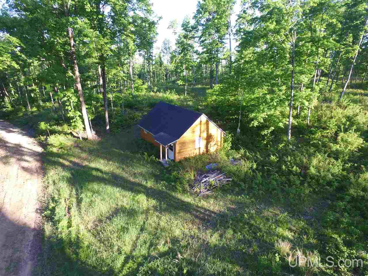 2353 Co Rd 442 Rapid River, MI 49878 - Photo 3 of 20
