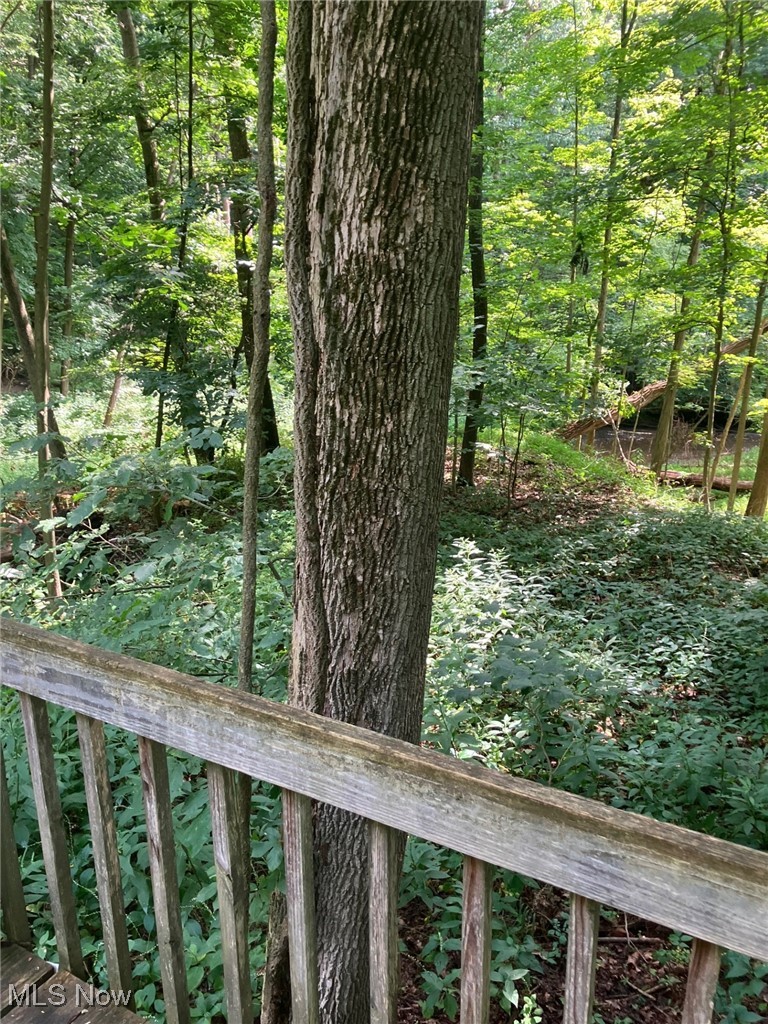 3820 West Bath Road Akron, OH 44333 - Photo 48 of 50 Bridge in woods