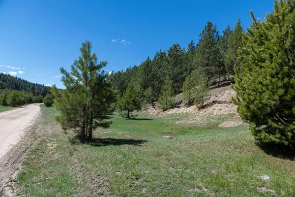 $38,550,000 | 1 Clear Creek Road, Cascade, ID 83611