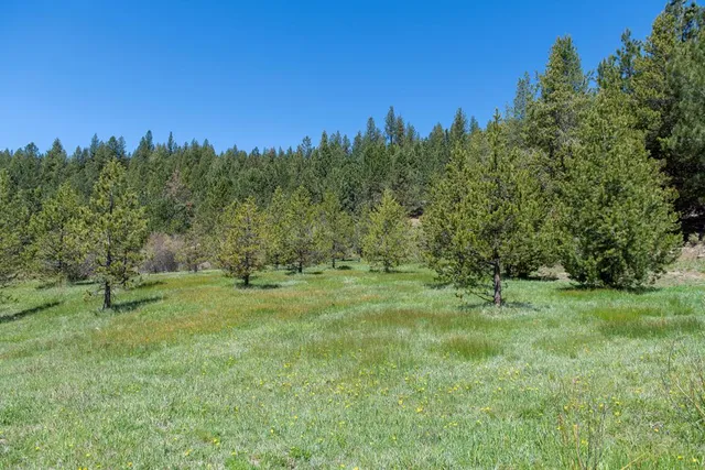 $38,550,000 | 1 Clear Creek Road, Cascade, ID 83611