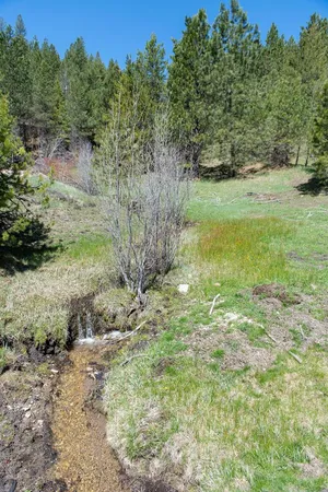 $38,550,000 | 1 Clear Creek Road, Cascade, ID 83611