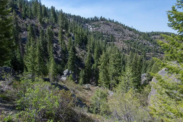 $38,550,000 | 1 Clear Creek Road, Cascade, ID 83611