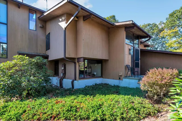 a view of a tree in the middle of forest