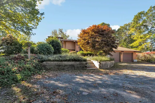 a view of a yard with plants and large trees