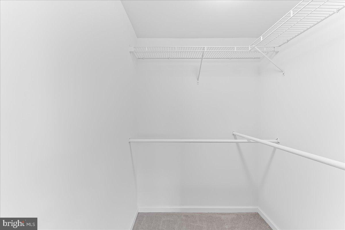 615 Brandon Road Norristown, PA 19403 - Photo 17 of 36 Primary walk in closet