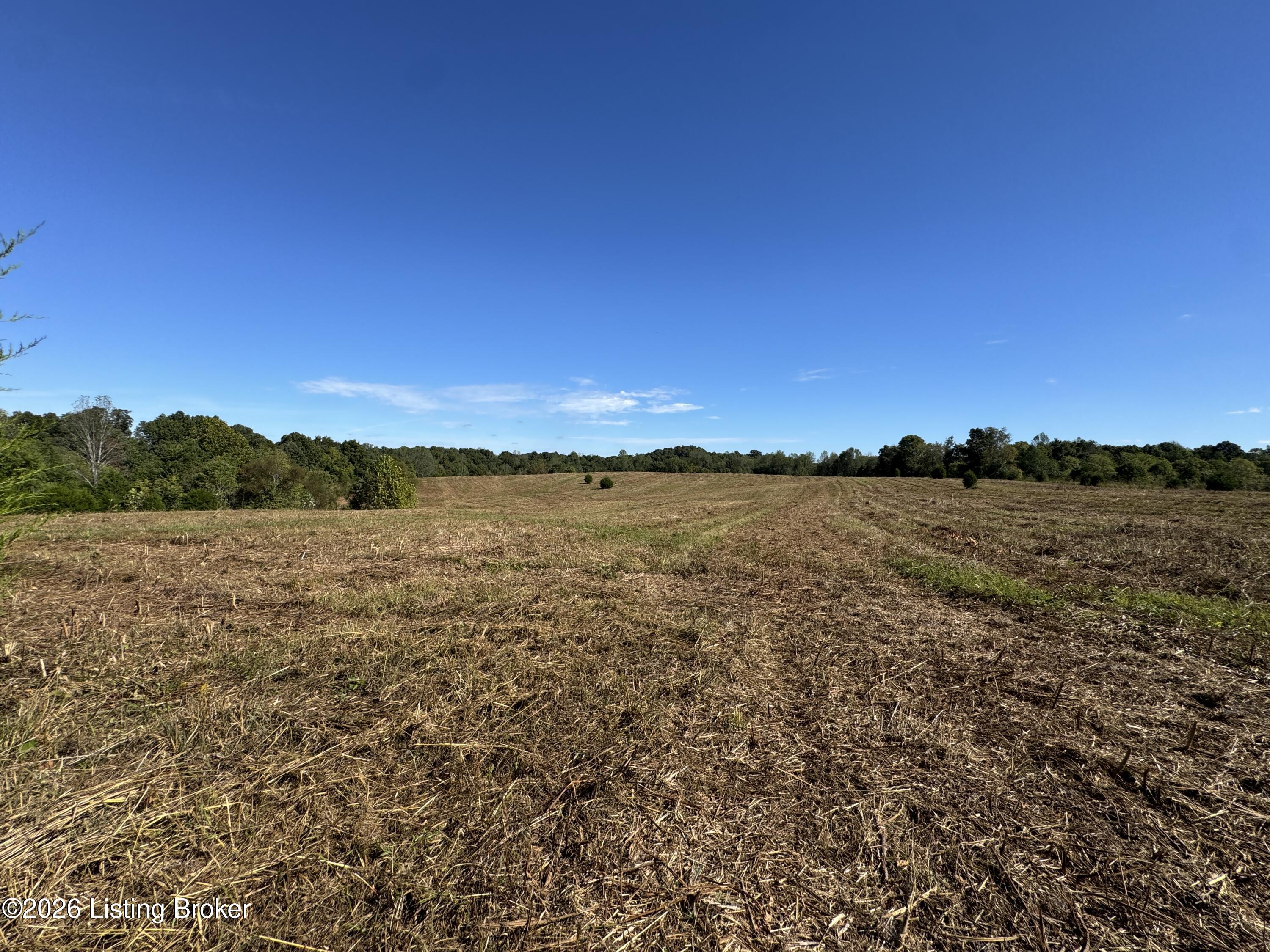 89 Taylor Fork Road Leitchfield, KY 42754 - Photo 23 of 25 IMG_1511