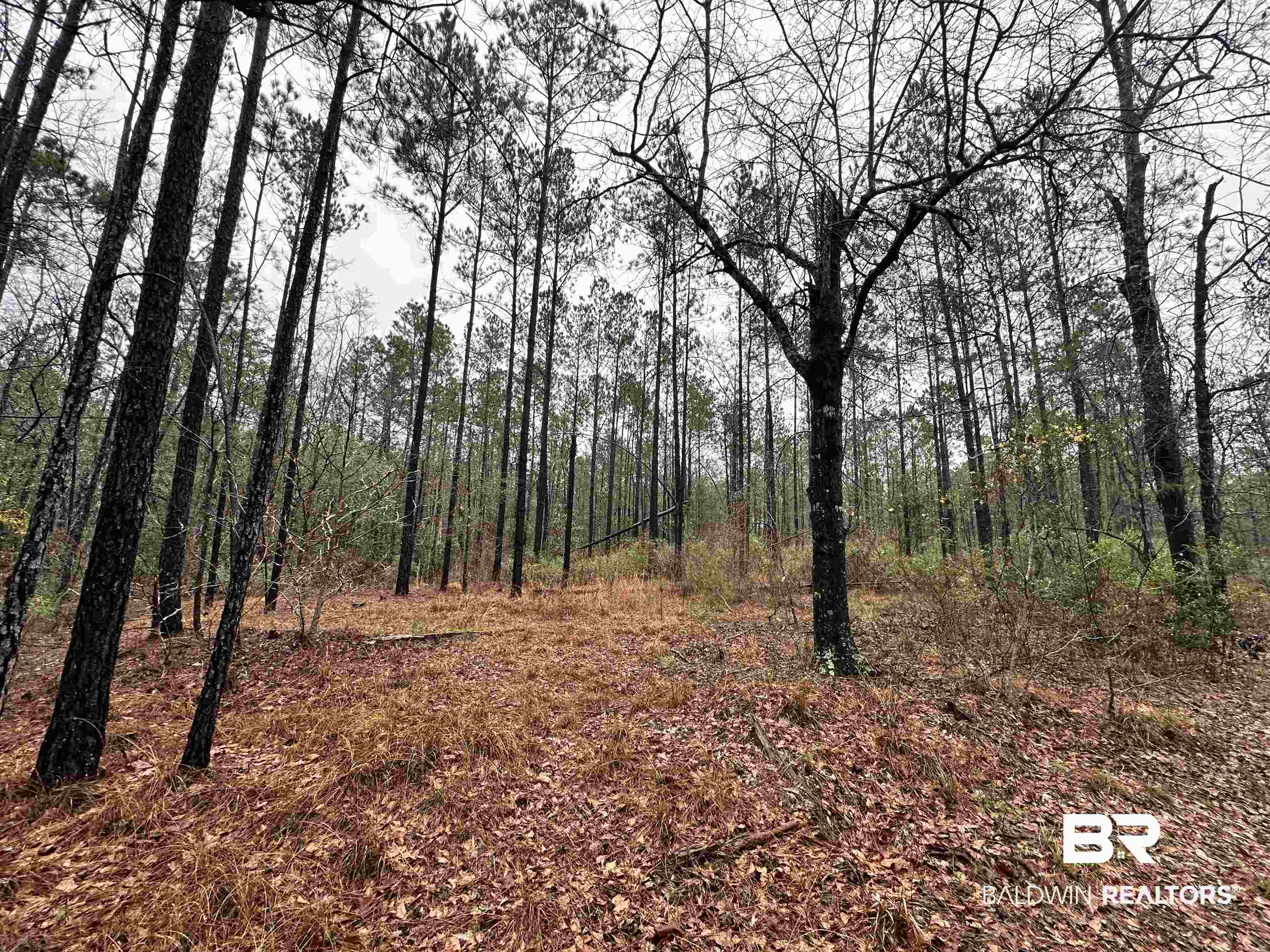 4549 J D Howard Road Tibbie, AL 36583 - Photo 6 of 33