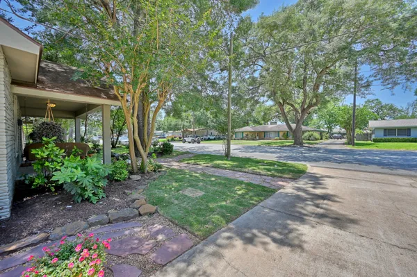 a view of a park with large trees