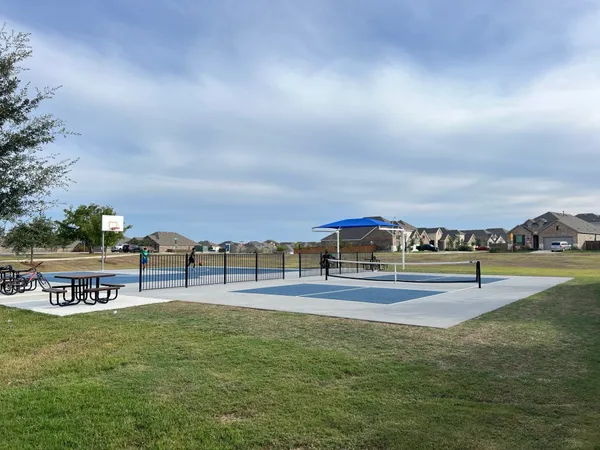 a view of a swimming pool with a garden