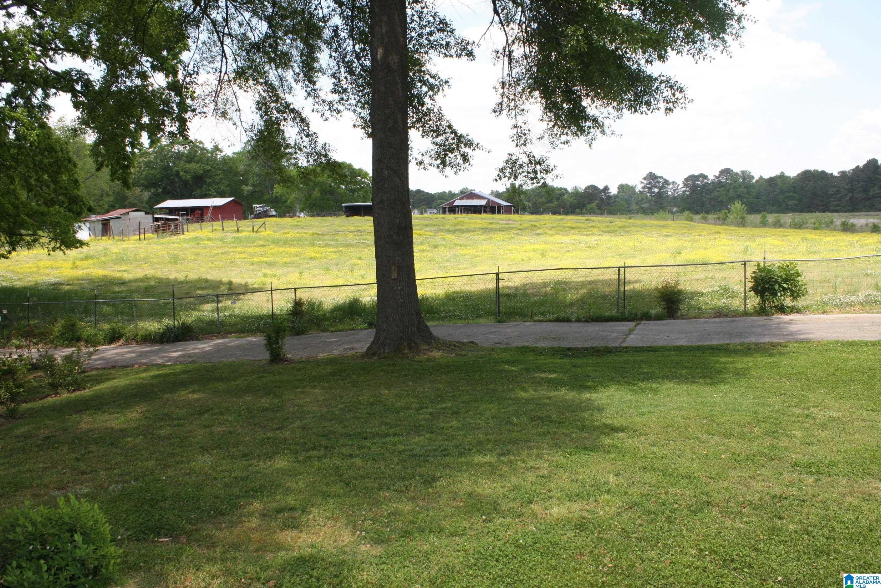 6083 Tommy Town Road Mount Olive, AL 35117 - Photo 9 of 45