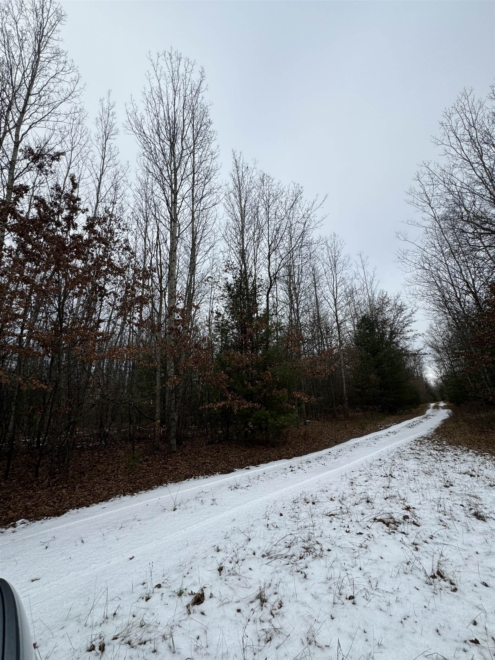 0 Lagrant Road Sterling, MI 48659 - Photo 30 of 31