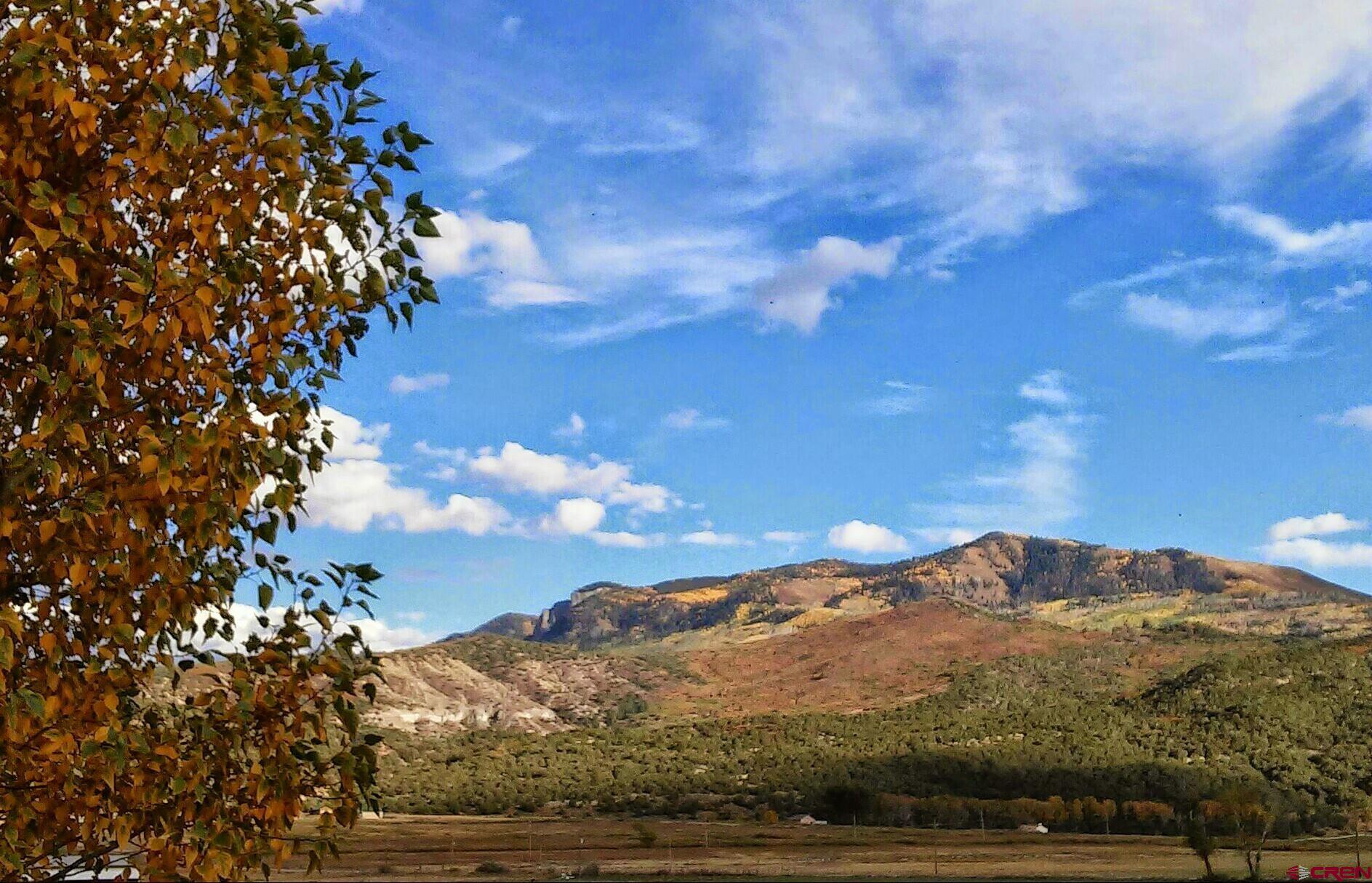 400 Palomino Trail Ridgway, CO 81432 - Photo 12 of 29